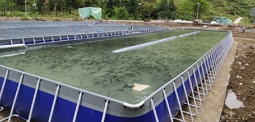 透徹講解水產(chǎn)養(yǎng)殖“溶解氧”，通俗易懂。