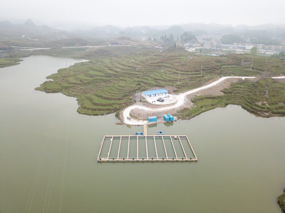 增殖流放項(xiàng)目