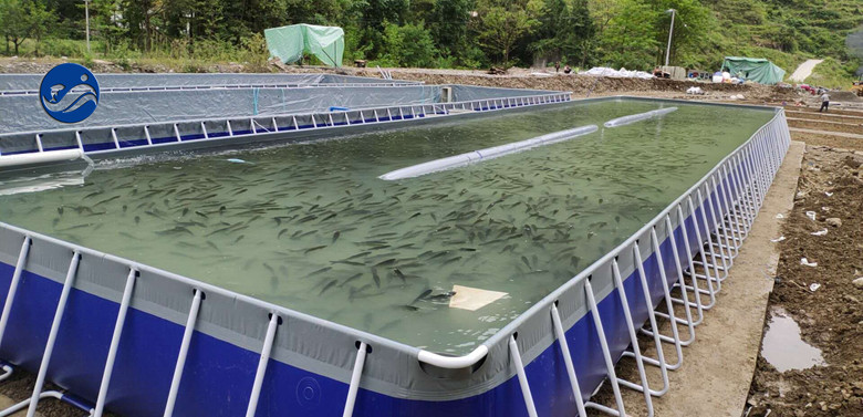 貴州遵義移動(dòng)鋼架跑道式流水槽養(yǎng)魚(yú)項(xiàng)目